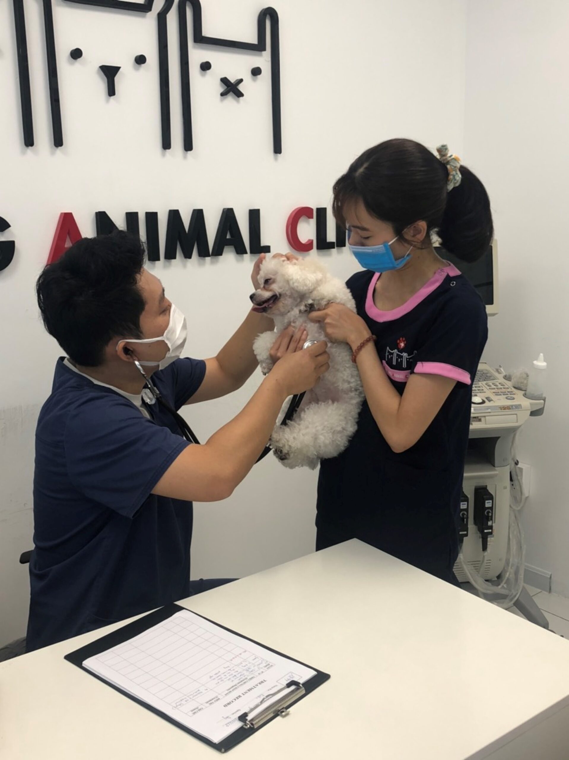 Bệnh viện thú cưng Samyang với nhiều năm hoạt động