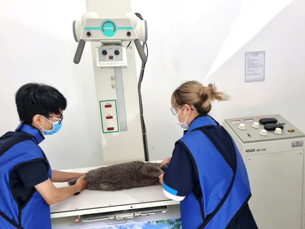 Ưu điểm của Xray ở Samyang mang lại