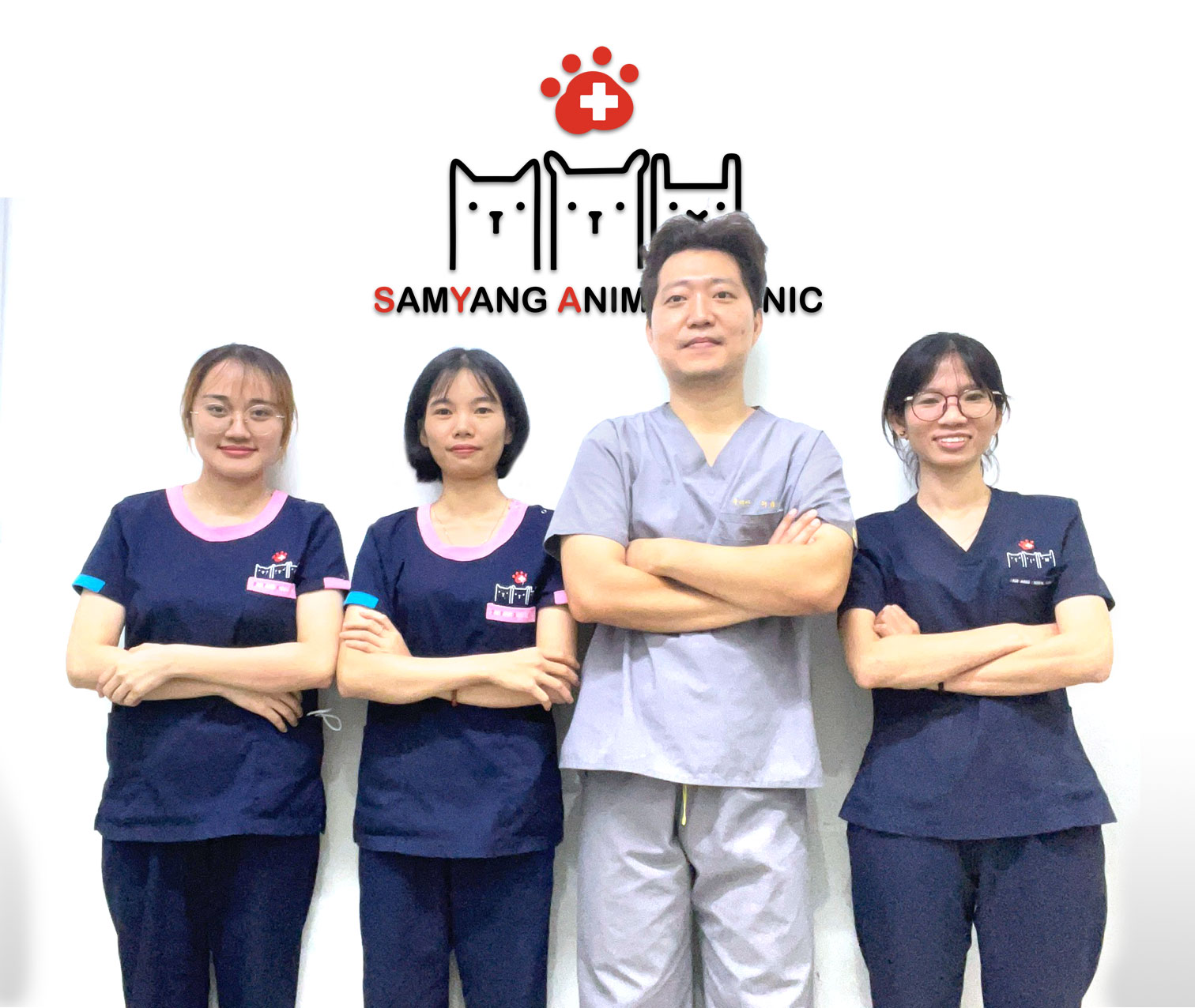 team-my-dinh