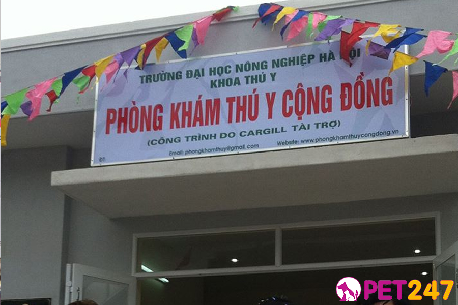 Phòng khám thú y cộng đồng