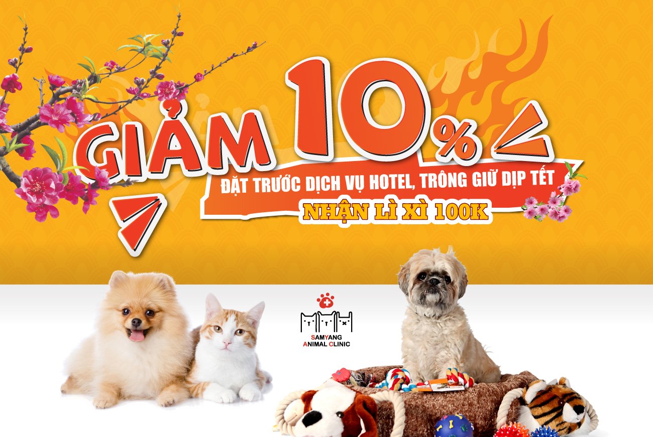 Giảm ngay 10% khi đặt trước hotel dịch vụ trông giữ dịp Tết cho thú cưng