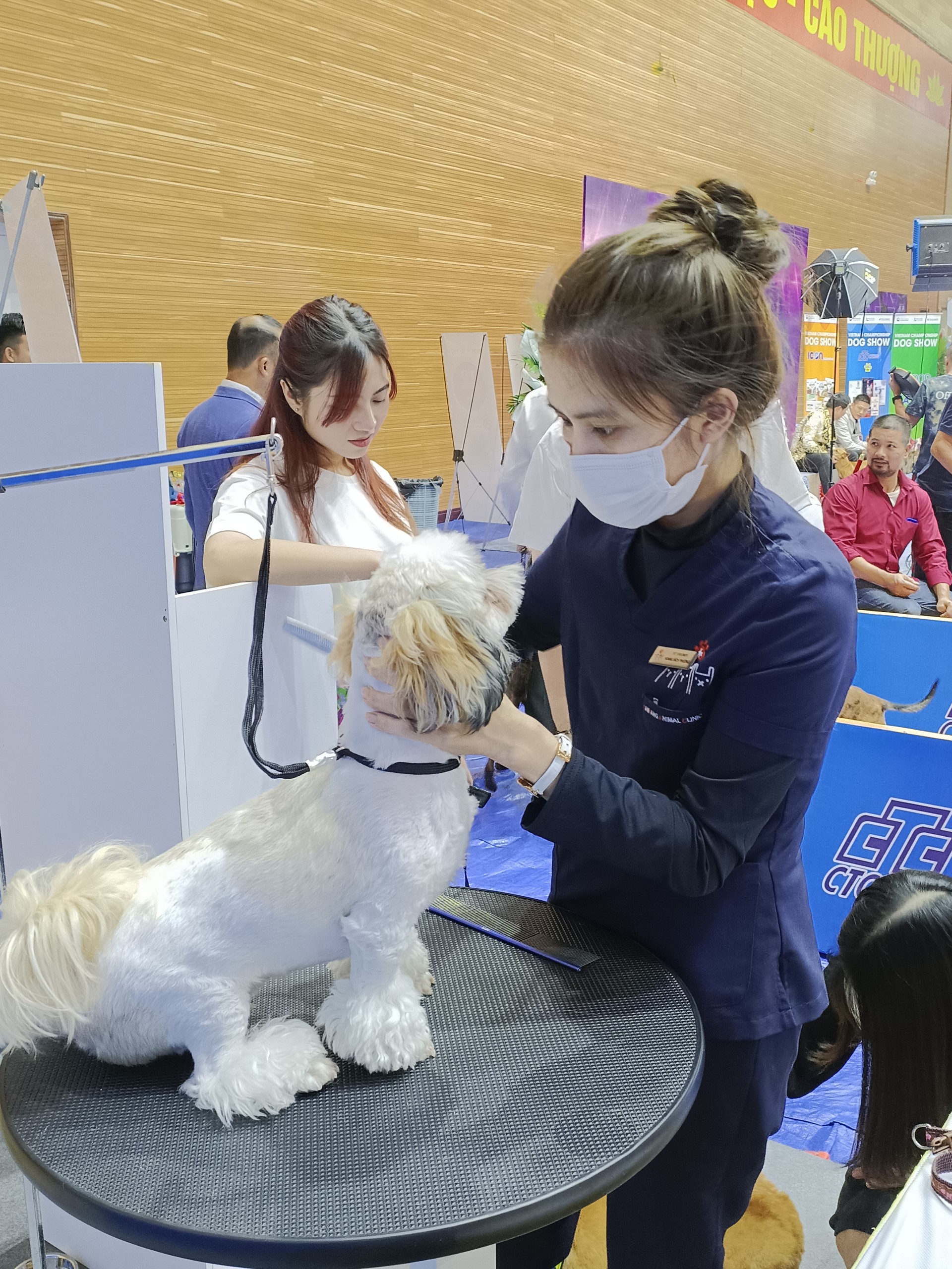 "Nâng cấp" ngoại hình của thú cưng