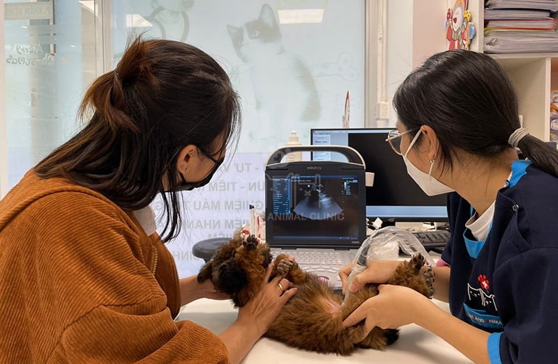 Lắng nghe lời khuyên và sự chỉ dẫn của bác sĩ để chăm sóc các bé khi ốm