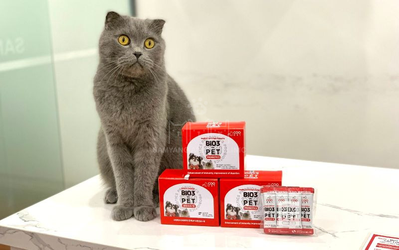 Bio3-Pet được điều chế trên dây chuyền hiện đại với 3 loại men hoạt tính