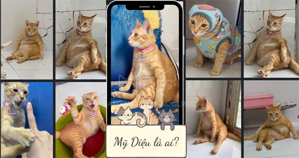 Tên là Mỹ Diệu nhưng tính cách lại trái ngược hoàn toàn