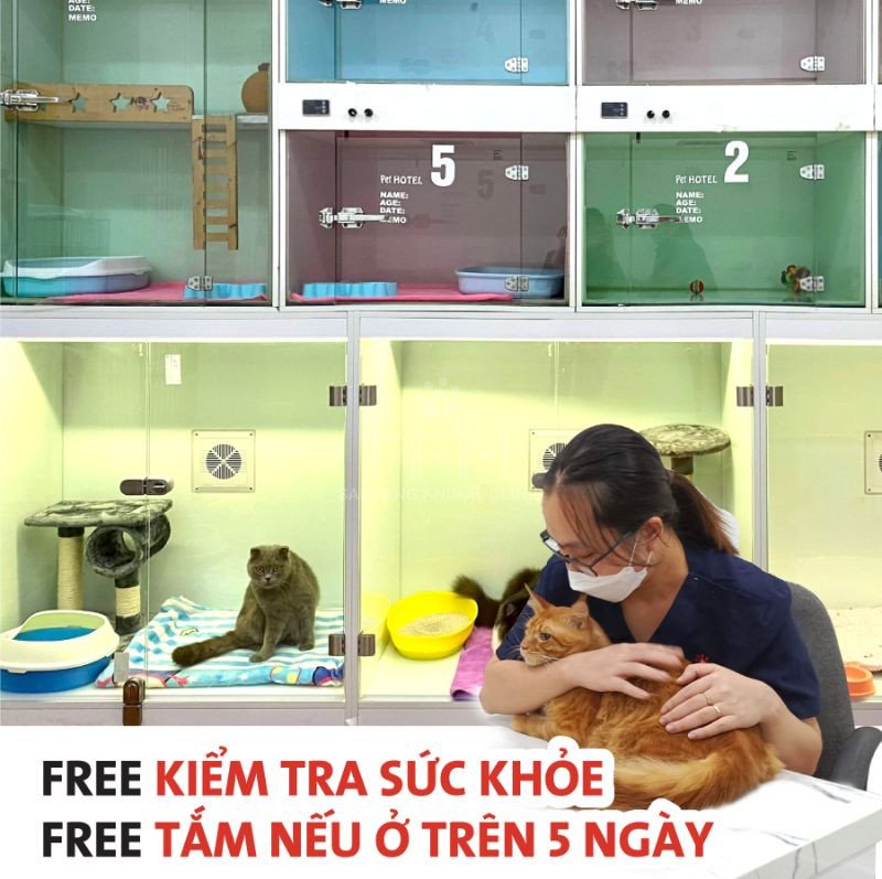 Miễn phí kiểm tra sức khỏe thú cưng dịp nghỉ lễ