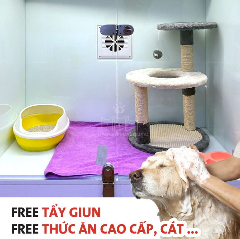 Thú cưng lưu trú Hotel sẽ được Free tẩy giun và cung cấp thức ăn cao cấp miễn phí