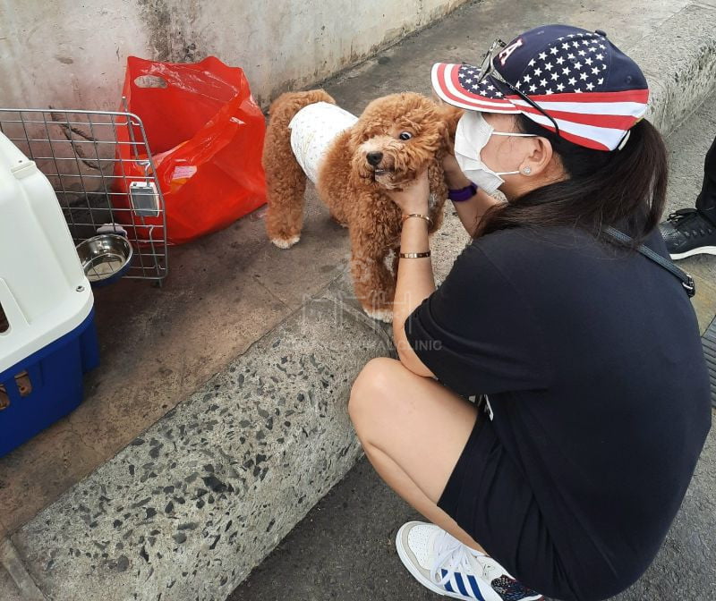 Lưu ý chuẩn bị thức ăn nước uống đầy đủ cho thú cưng trong suốt chuyến bay