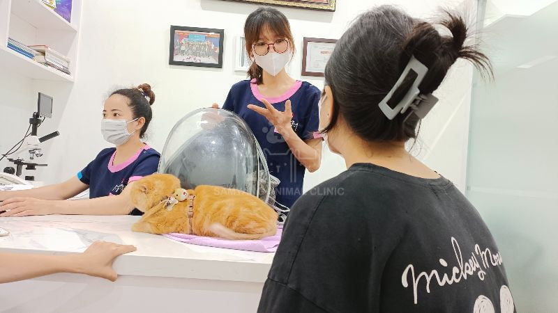 Chẩn đoán bệnh được dựa trên một số xét nghiệm cụ thể chuyên sâu