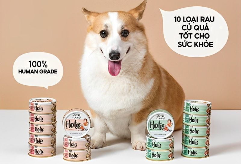 Cho chó ăn một chế độ dinh dưỡng cân bằng như Pate Holic rất tốt