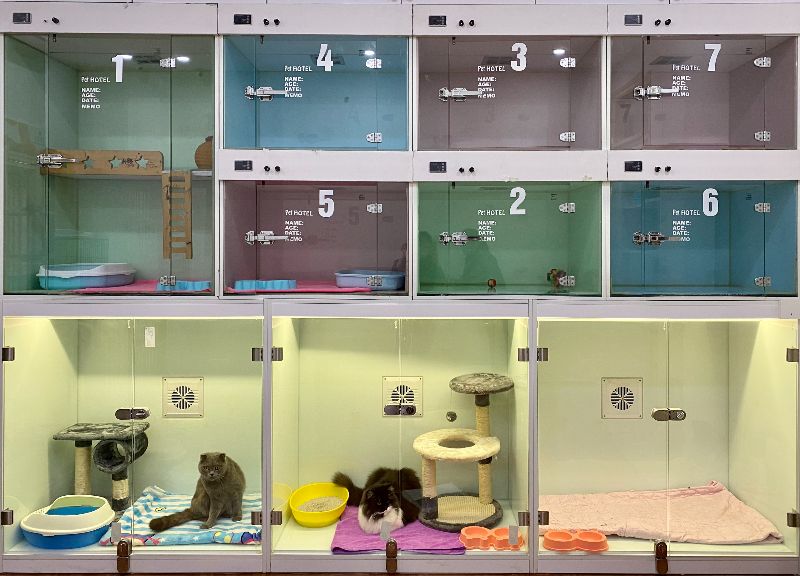 Khách sạn thú cưng Samyang sạch sẽ, chuyên nghiệp, tận tâm