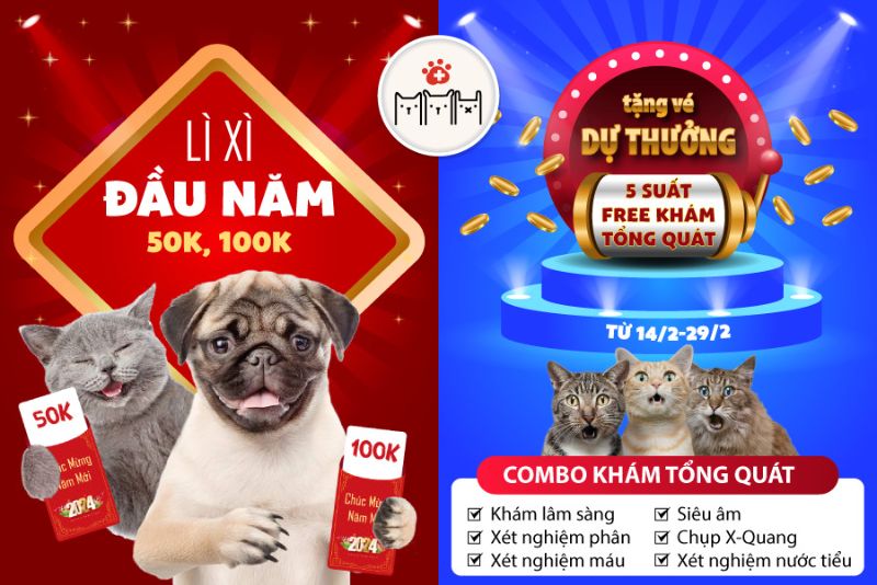 Lì xì đầu năm - Khai xuân như ý