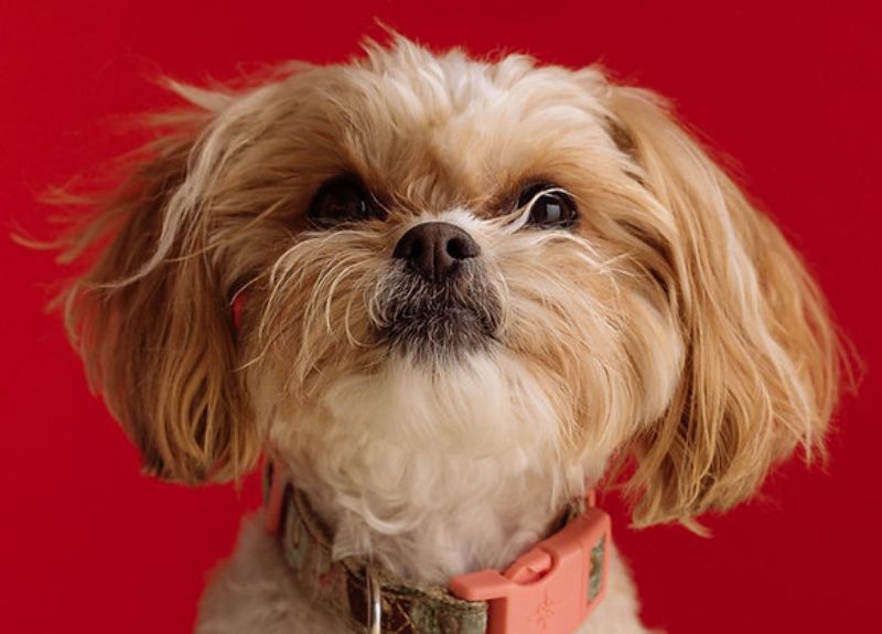 Quan sát các dấu hiệu bất thường ở khu vực mũi để sớm phát hiện bệnh