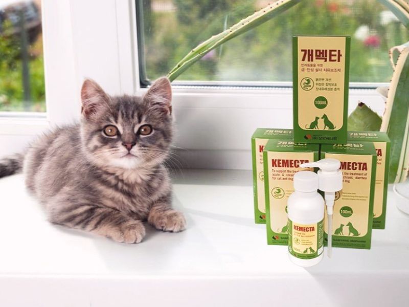 Sản phẩm đặc trị tiêu chảy dành riêng cho thú cưng do Samyang sản xuất