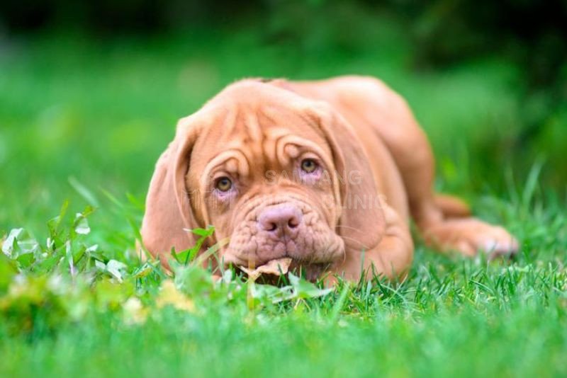 Phương pháp điều trị