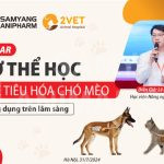 Cơ thể học hệ tiêu hóa chó mèo - Ứng dụng trên lâm sàng