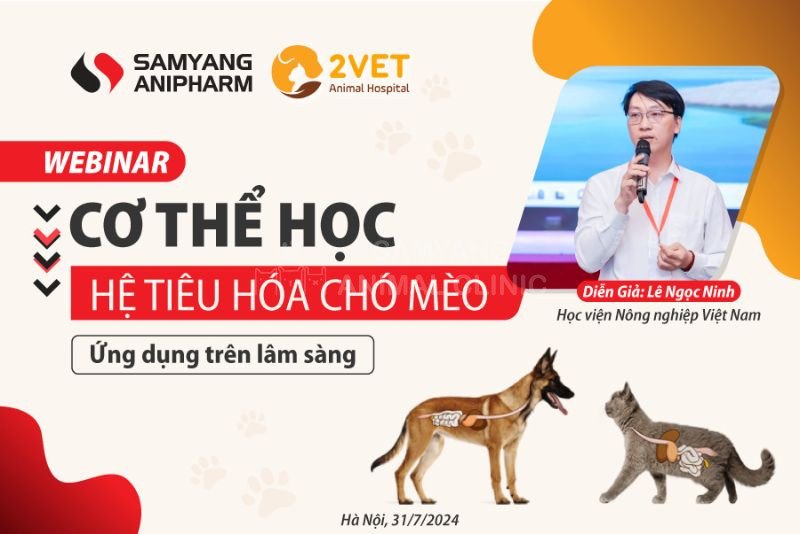 Cơ thể học hệ tiêu hóa chó mèo - Ứng dụng trên lâm sàng