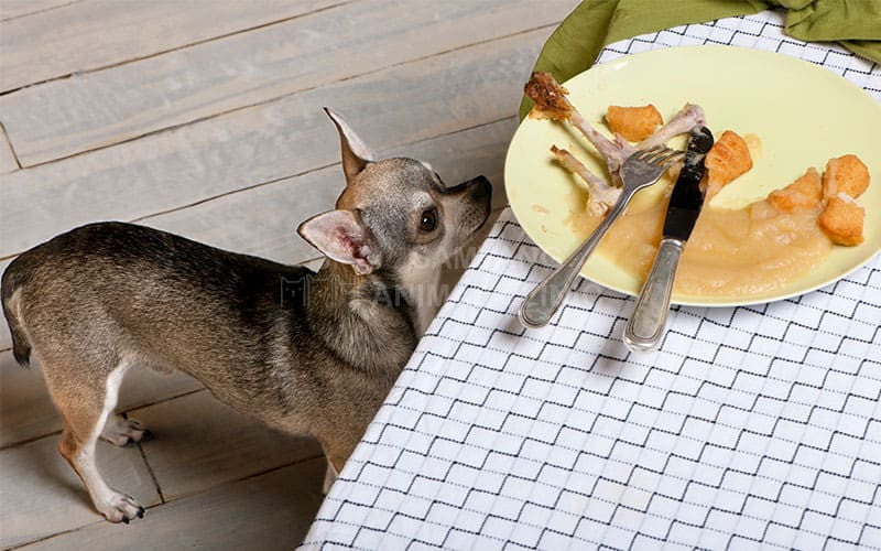 Dạy hành vi thay thế