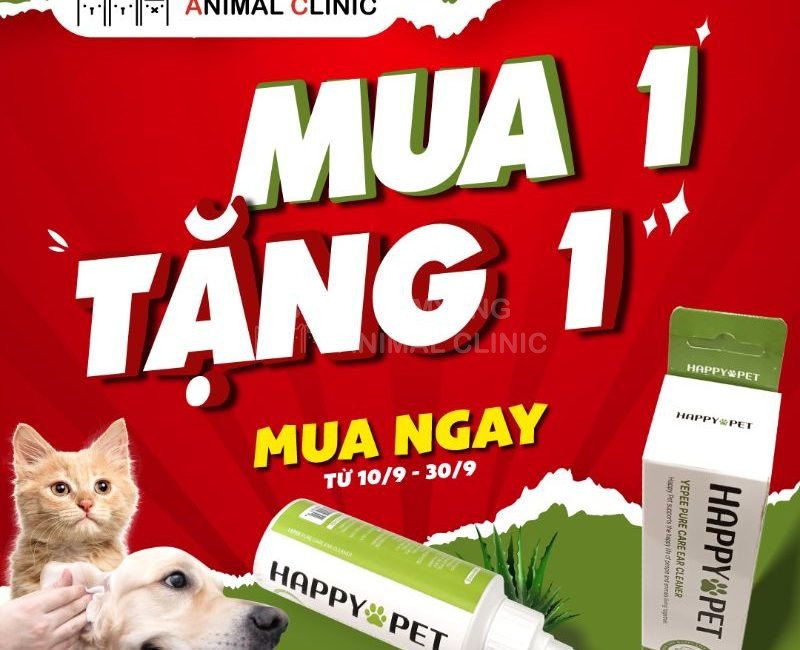 Chương trình khuyến mại mua 1 tặng 1