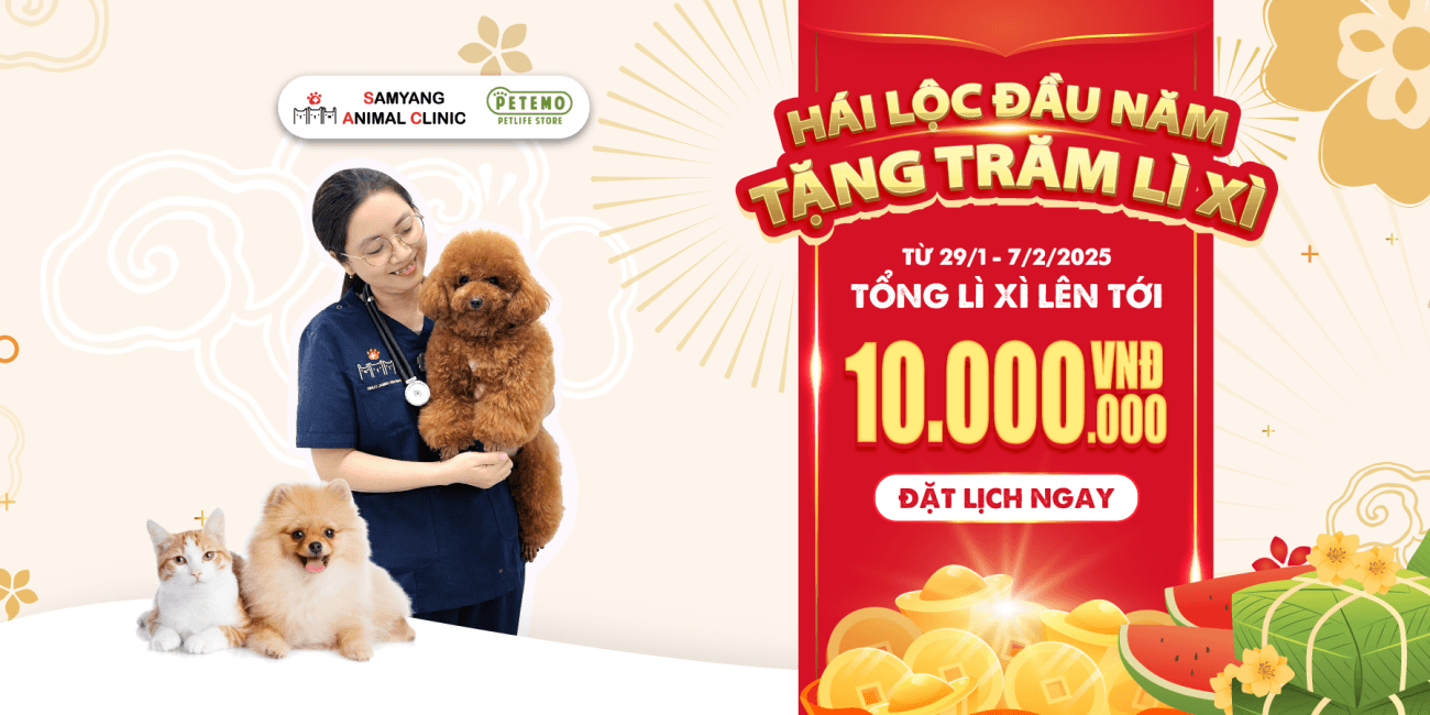 Chương trình lì xì đầu năm